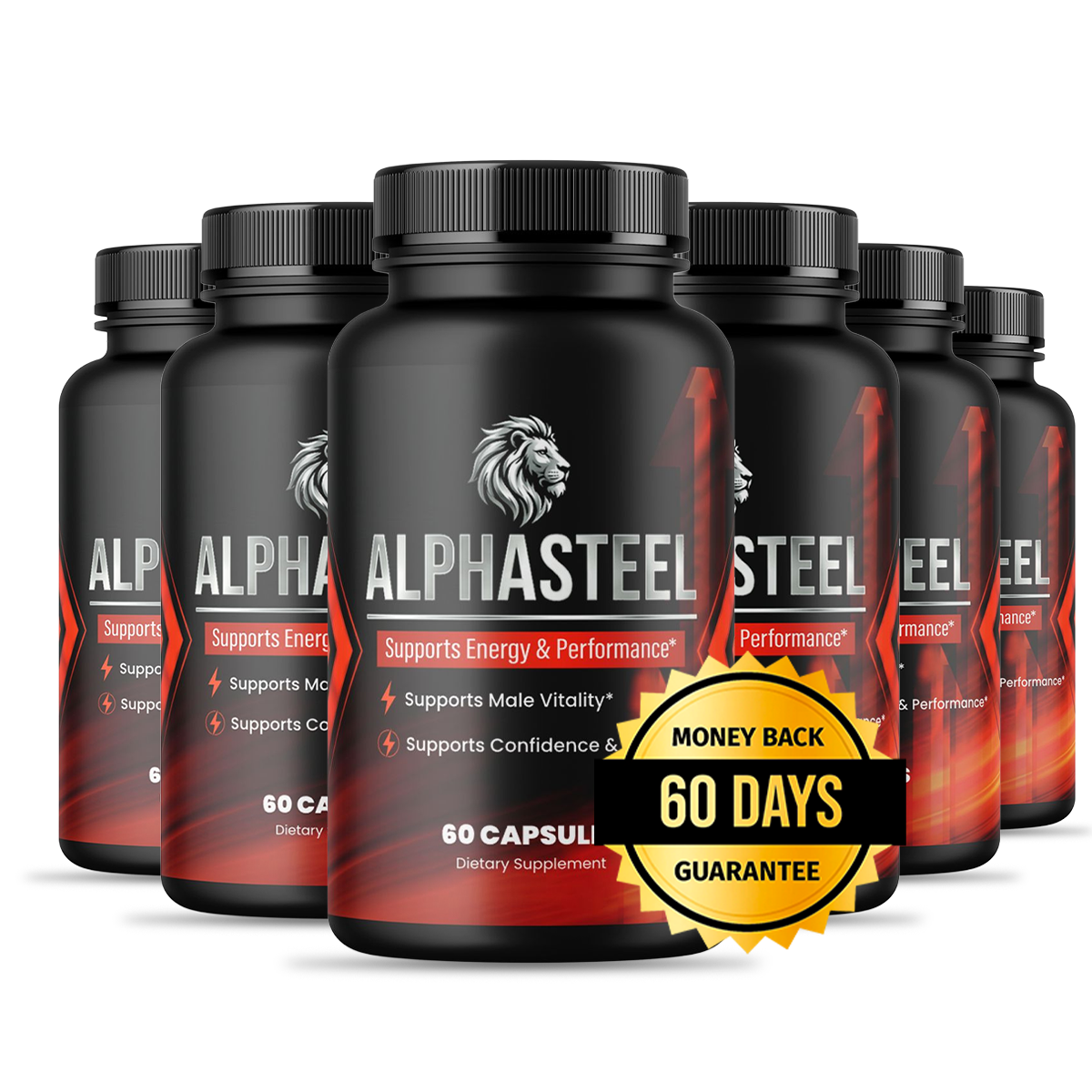 AlphaSteel 6 Bottles - Best Value